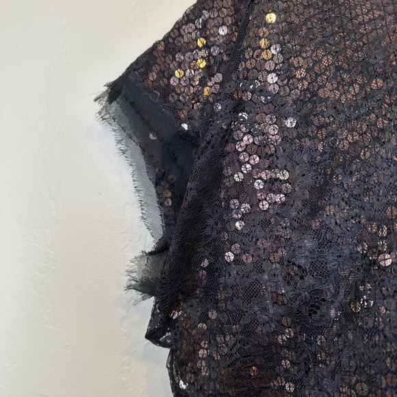 Joie | Addison Caviar Sequin Mesh Lace Cap Sleeves Cropped Fit Glam Boxy Blouse - Picture 11 of 15